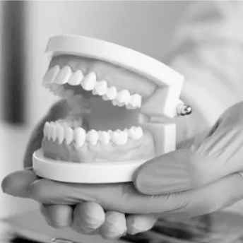 dental care image